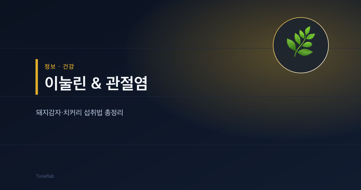 이눌린 & 관절염 — 돼지감자·치커리 섭취법 총정리