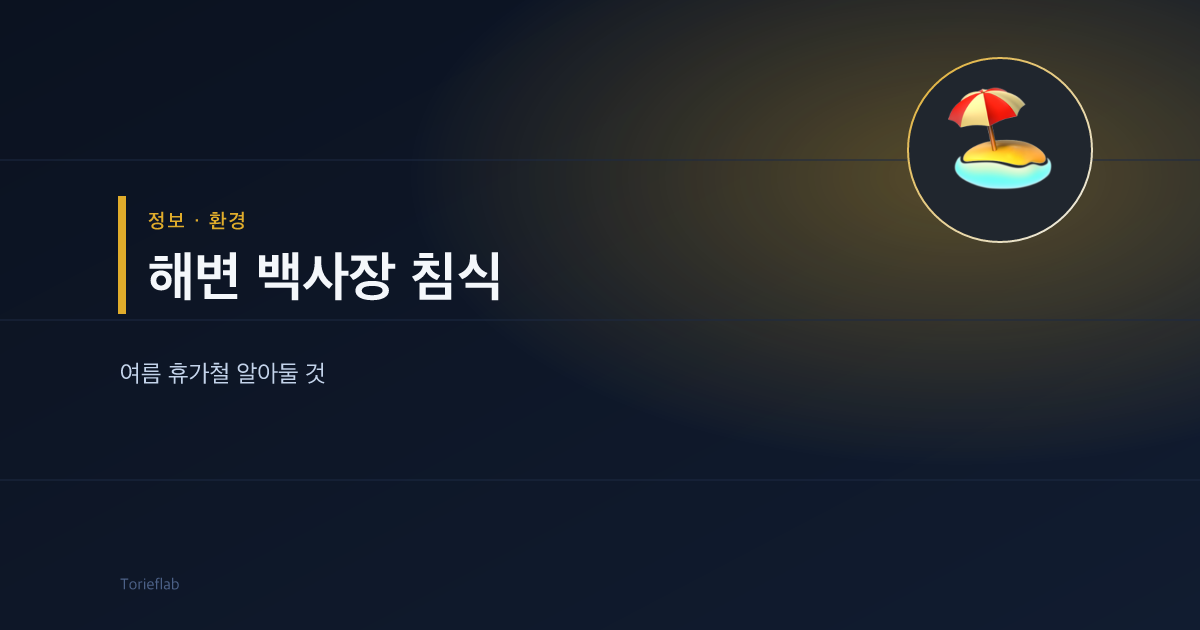 해변 백사장 침식 실태 — 여름 휴가철 알아두면 좋은 정보