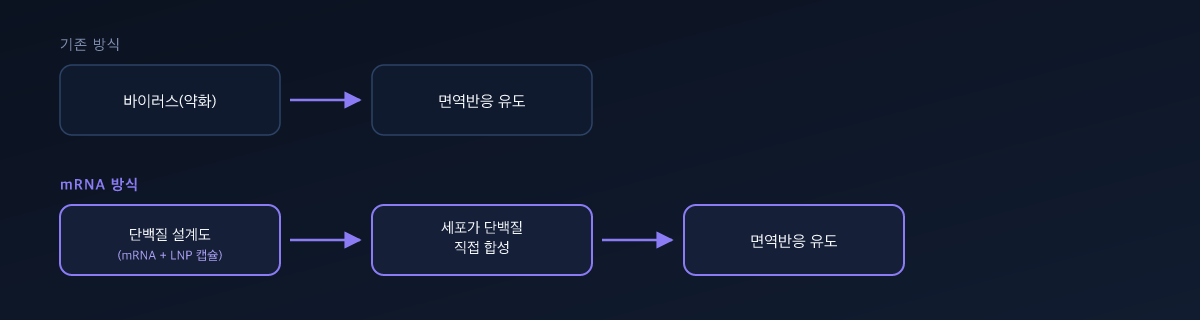 mRNA 방식 vs 기존 방식 — 면역반응 유도 과정 비교