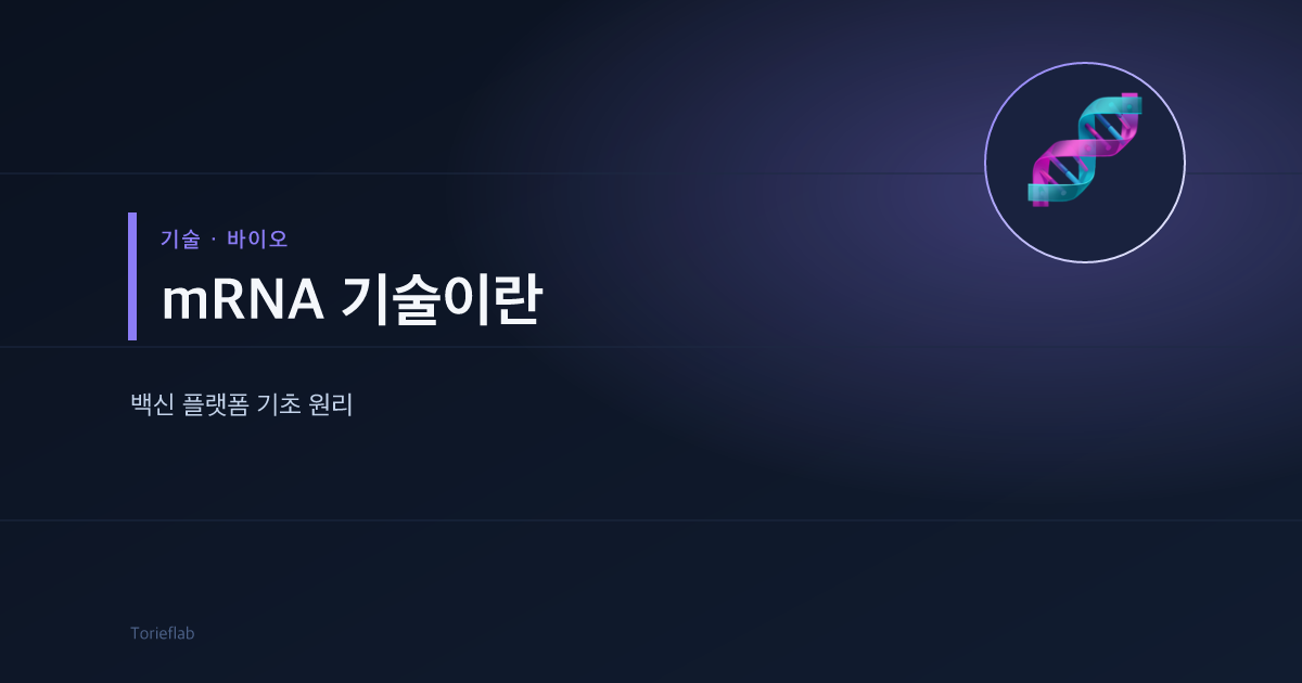 mRNA 기술이란 — 백신 플랫폼 기초 원리